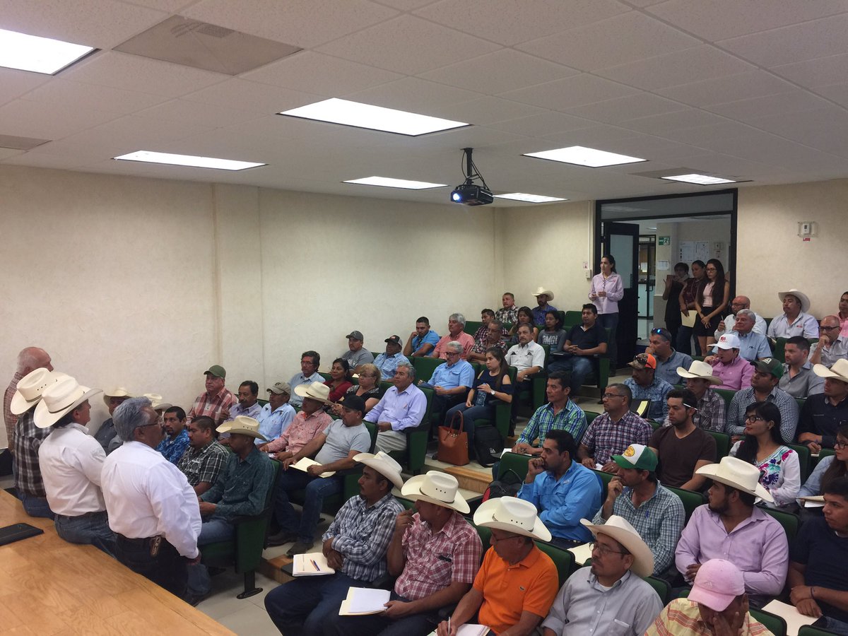 IngVelazco1964's tweet photo. En representación de nuestro secretario @flores_mendez Curso de aretado a Ganado en la region Centro #Seder #FuerteCoahuilaEs https://t.co/gPeDwiC8rX