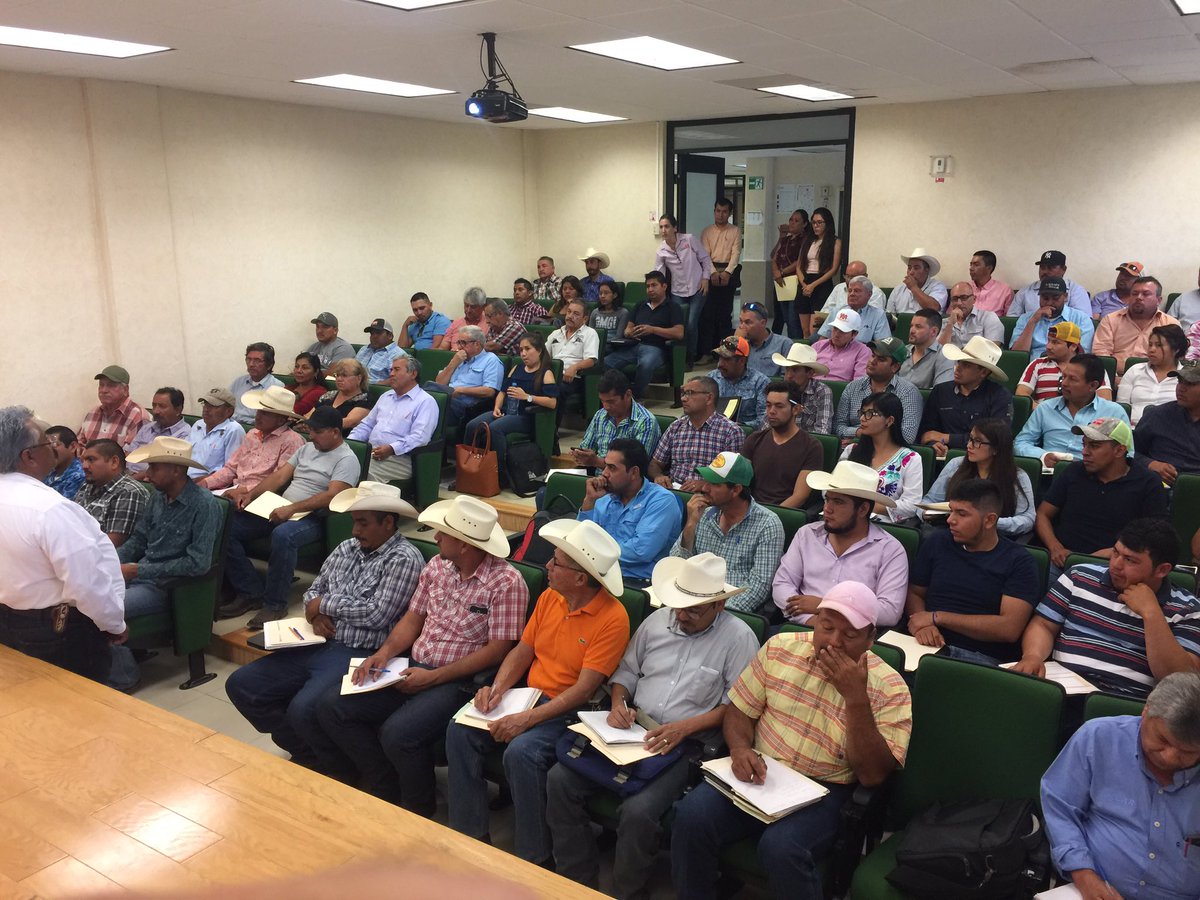 IngVelazco1964's tweet photo. En representación de nuestro secretario @flores_mendez Curso de aretado a Ganado en la region Centro #Seder #FuerteCoahuilaEs https://t.co/gPeDwiC8rX