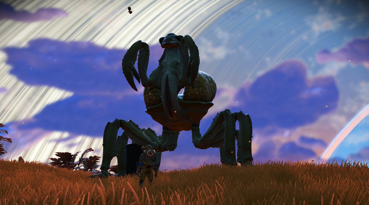 NoMansCourse's tweet photo. Oh crab....
#NMS #NoMansSky #NMSHub #NMSphotography #NoMansSkyNEXT #screenshot #praiseBeSean @hellogames @NoMansPics @NoMansSmile https://t.co/H6SaePVgQE
