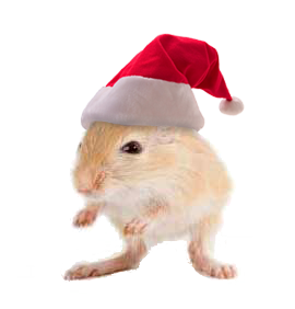 pragprog's tweet photo. Christmas in July! Save 40% on https://t.co/mByGr1cF7u https://t.co/rfBCwcRnj7
 #pragprog https://t.co/cAY1lTe6MZ