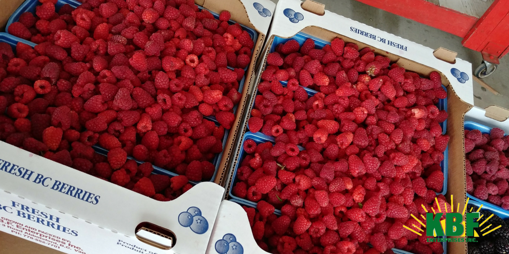 bcraspberries's tweet photo. With a variety of fresh fruits and vegetables BEYOND the amazing #bcraspberries that happened this year #KBFFarms is definitely a destination for #EastAbbotsford and #Chilliwack residents alike! https://t.co/uLtWJmjDz0