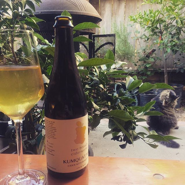 twobroadscider's tweet photo. For those days you want to drink cider with your cat, you can get bottles @sandysliquor , @slonaturalfoods , @lincolnmarketdeli , and @grapeencounters . #slo #cider #madeinslo https://t.co/KSW5BOLrVx https://t.co/v0y6UXT8b6
