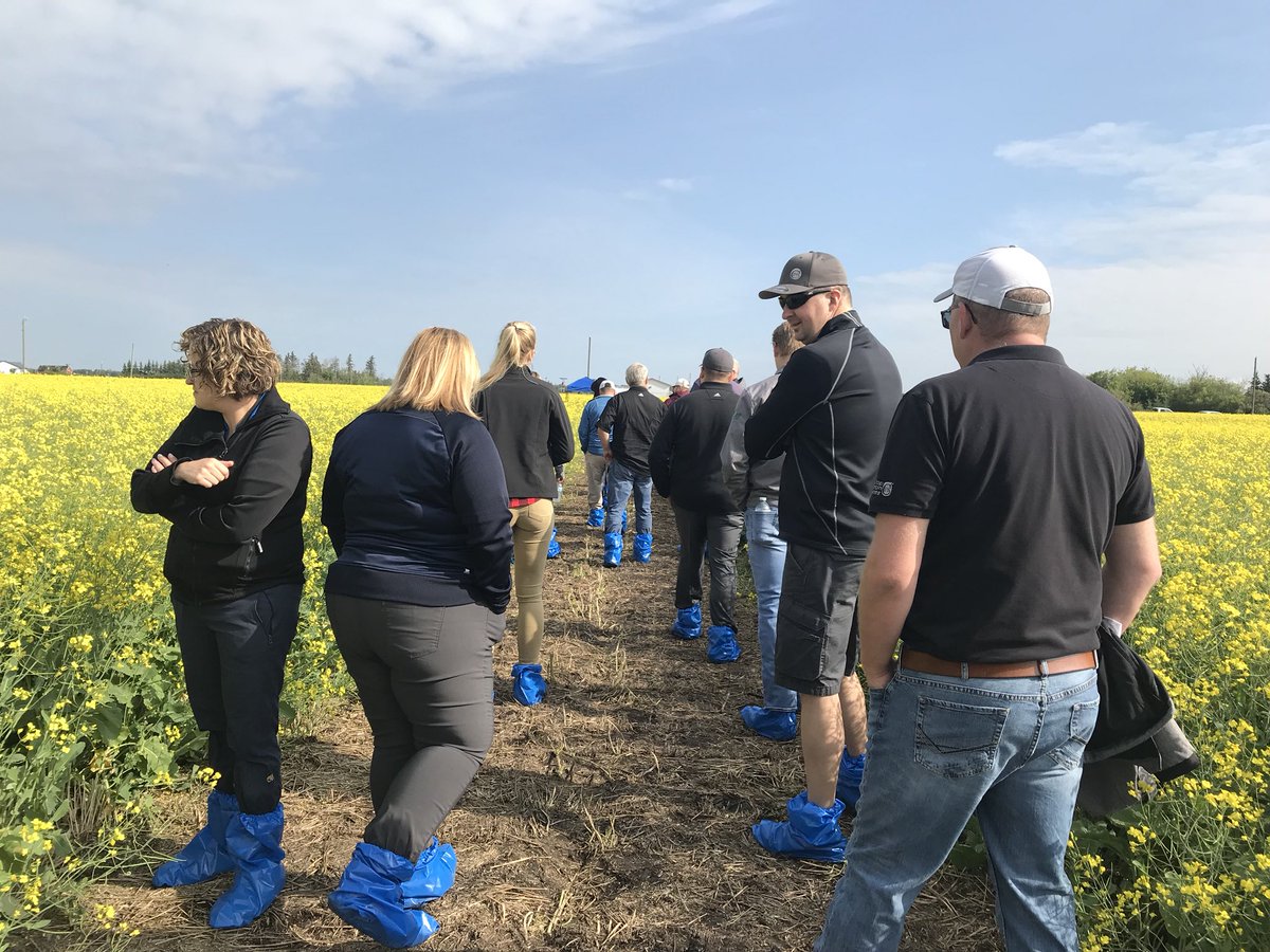 CastaDee's tweet photo. Thank you Nutrien Ag Solutions for a successful Invigor Rate and Invigor Hybrid Tour at our Fairview location. #Invigor #L234PC #L233P #L230 #L241C #L252 @Bayer4CropsCA @NutrienAgCda https://t.co/48GTyYImpw