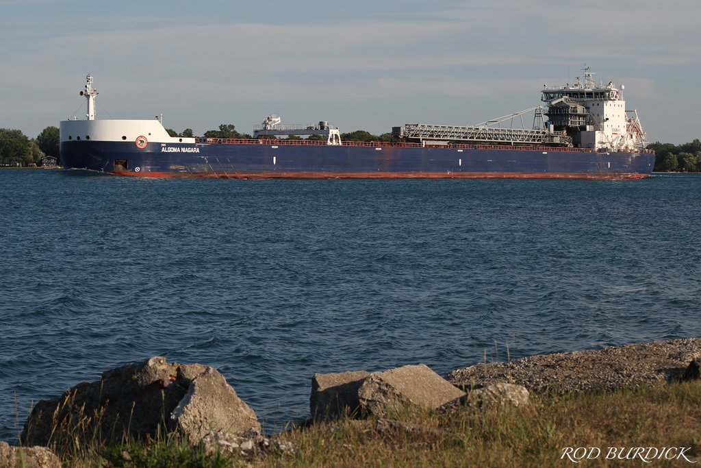 RodBurdick's tweet photo. New Equinox Class self-unloader (July 10, 2018)
#equinoxclass #equinox #algoma #algomacentral #algomaniagara #stclairriver #scenicmichigan #puremichigan #marinecity https://t.co/4OzGZSJXpE