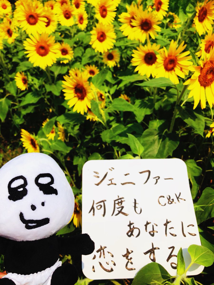 ｼﾞｪﾆﾌｧｰ何度もあなたに恋をする