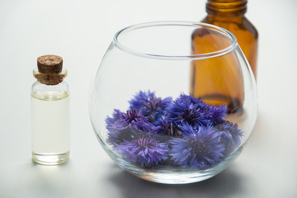sanafiera's tweet photo. Cresce il mercato della cosmesi #naturale e #bio: secondo il rapporto di Cosmetica Italia, vale complessivamente 1 miliardi di euro.

La news sul nostro sito 👉 https://t.co/Kp2Aw2hdpr 
#SANA18 #SANAwellbeing https://t.co/2jj3orf9Tm