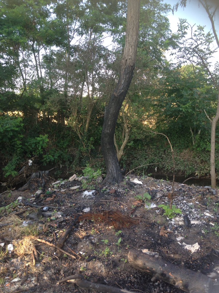 Eauvergnat's tweet photo. Les tas se multiplient, augmentent, sont brûlés et les plantes et arbres de la ripisylve avec ... https://t.co/4WxoEUqvEa