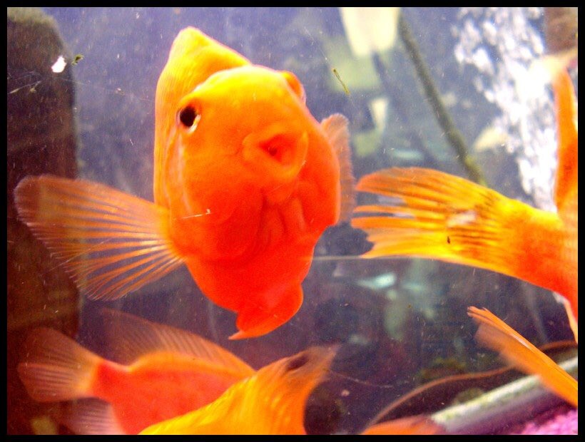 have a great day everybody!!! be kind to yourself and others!!!!!!!