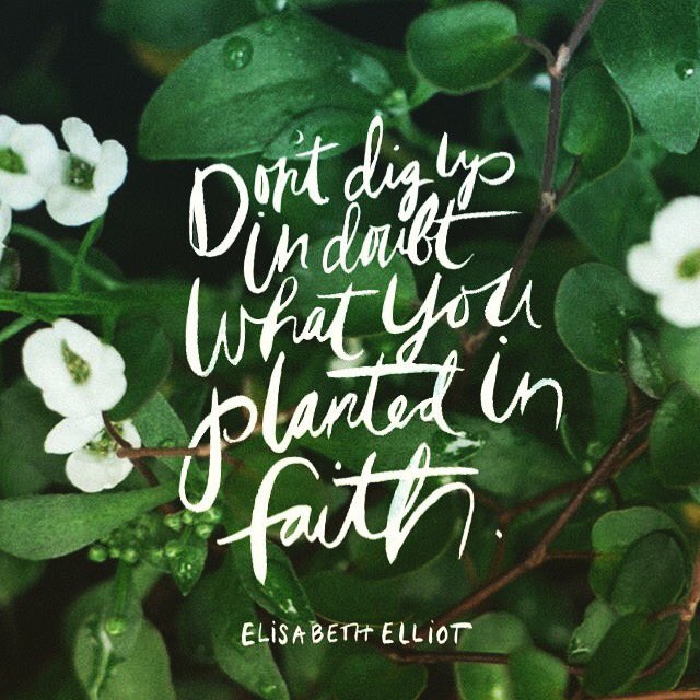 chrispdesignllc's tweet photo. Learn to trust yourself #chrispdesigns https://t.co/SilV2jT2Dw