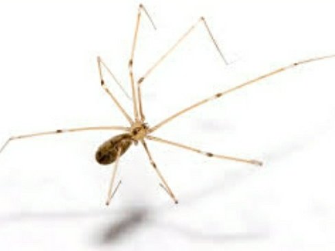 LateNights4Life's tweet photo. My daddy got sum long legs wyd >///< β€π¦ #daddyslittlegirl #daddyspanks https://t.co/XS1b9wkmne