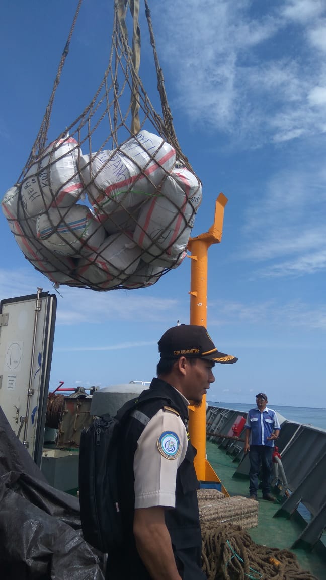BKIPMTarakan's tweet photo. #OneHealthKIPM 
25.07.2018
Pengawasan di Pelabuhan Malundung Tarakan Via KM. Bukit Siguntang oleh ptugas @BKIPMTarakan 
#kerjagembira
#semakinsolid
#semangatbaru https://t.co/Lavz2YByxA