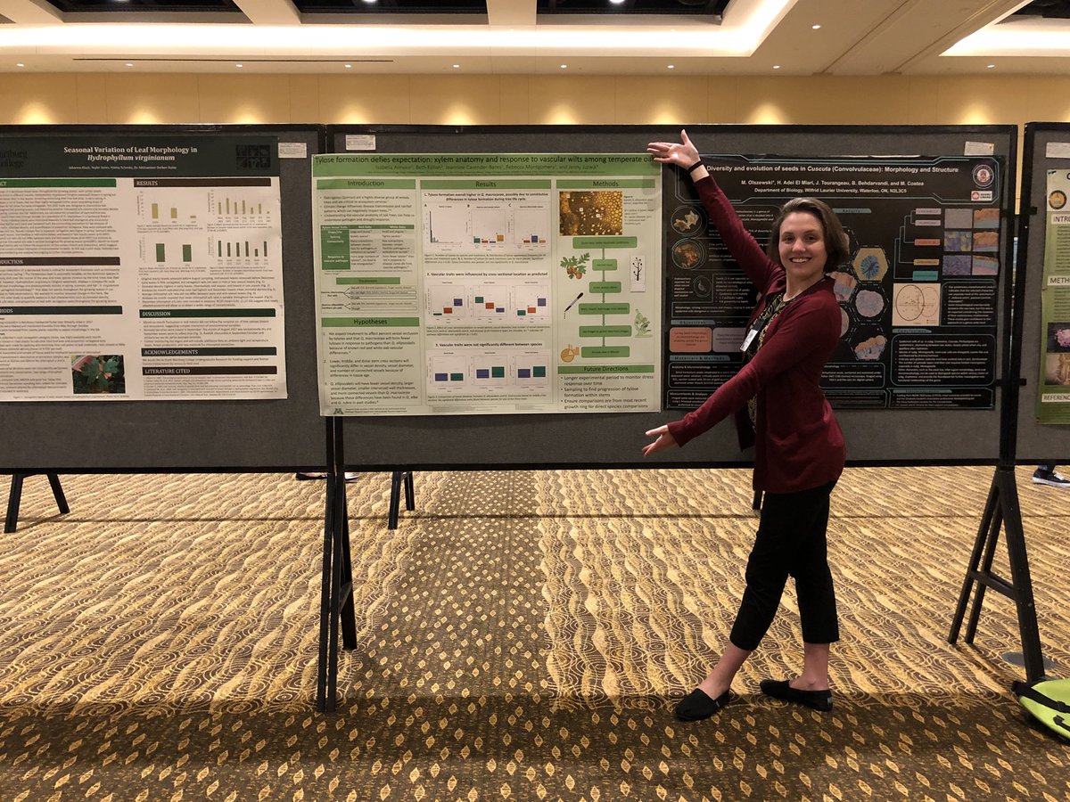 botanythoughts's tweet photo. Thanks to everyone who came out to my poster yesterday! It was so fun to get some insights on wood anatomy!  #Botany2018 https://t.co/xxYEfuJG7b