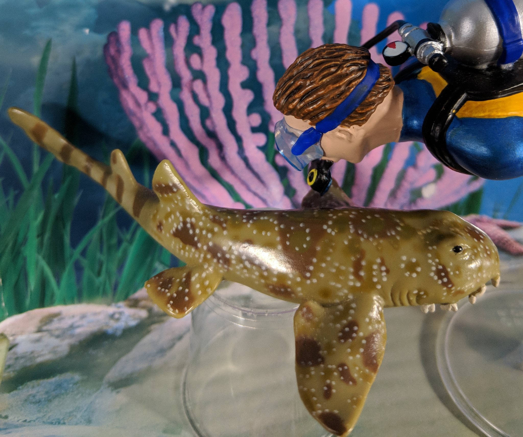 wobbegong toy