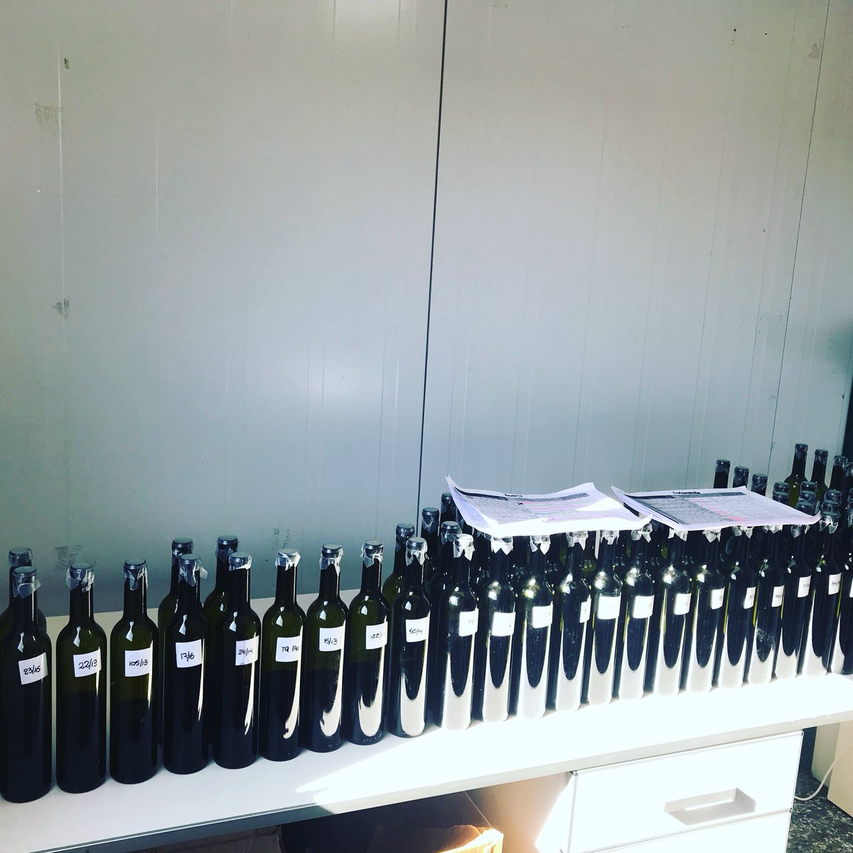 Cada día más enamorado de la cosecha 2017 !!! Fruta verdadera en nariz y boca !!! Excelente acidez !!! Expresión varietal y viñedo 💯 % 👏👏👏👏👏