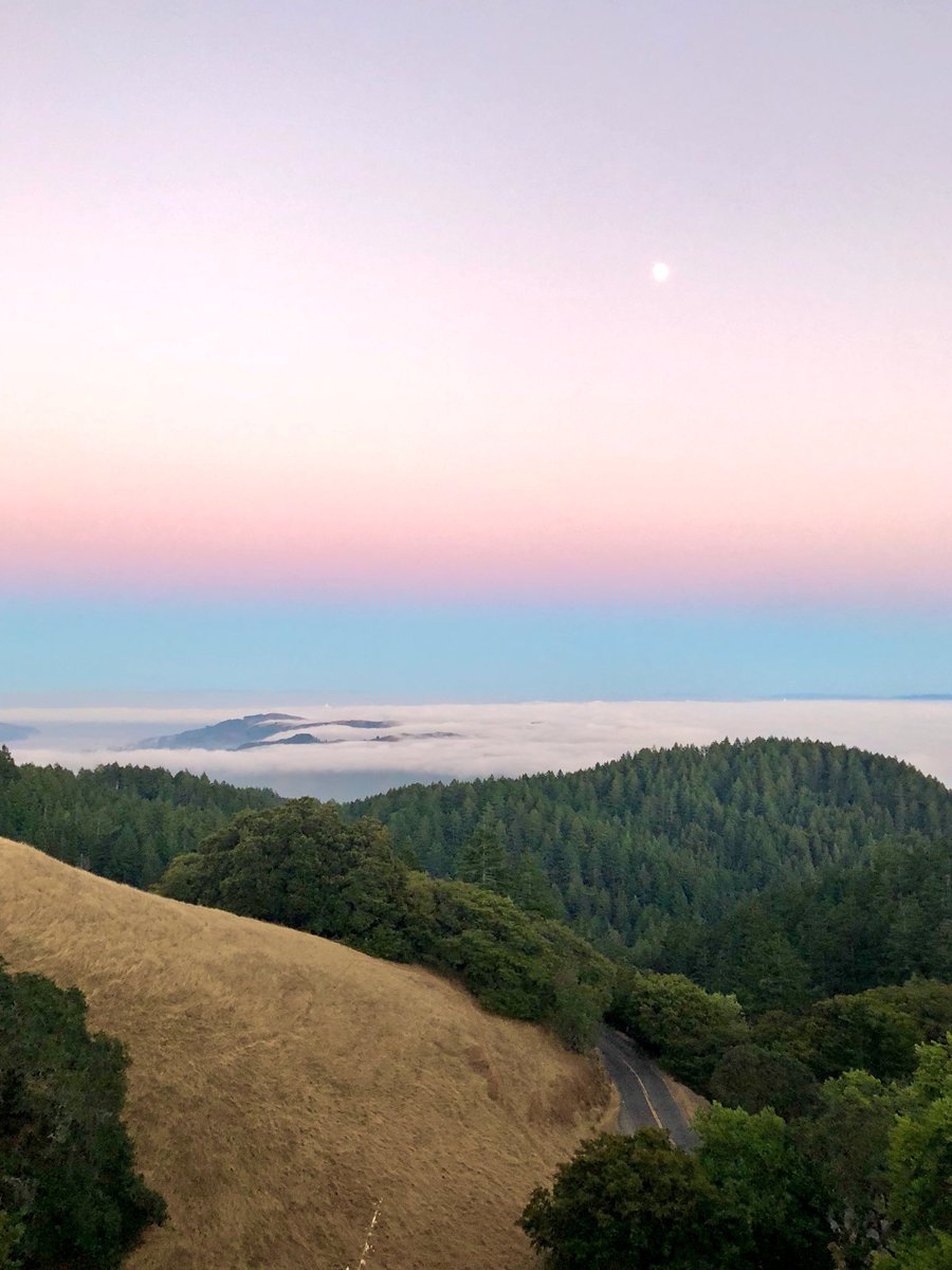 AdamJacobsPhoto's tweet photo. Beautiful shoot up on #mountam this evening #sanfrancisco #landscapephotography https://t.co/wguApa8jr1