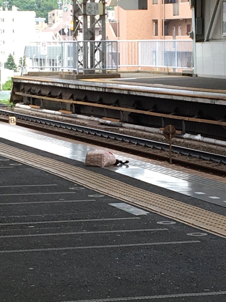 宮崎台駅で人身事故が起きホームにバッグが落ちている様子の画像