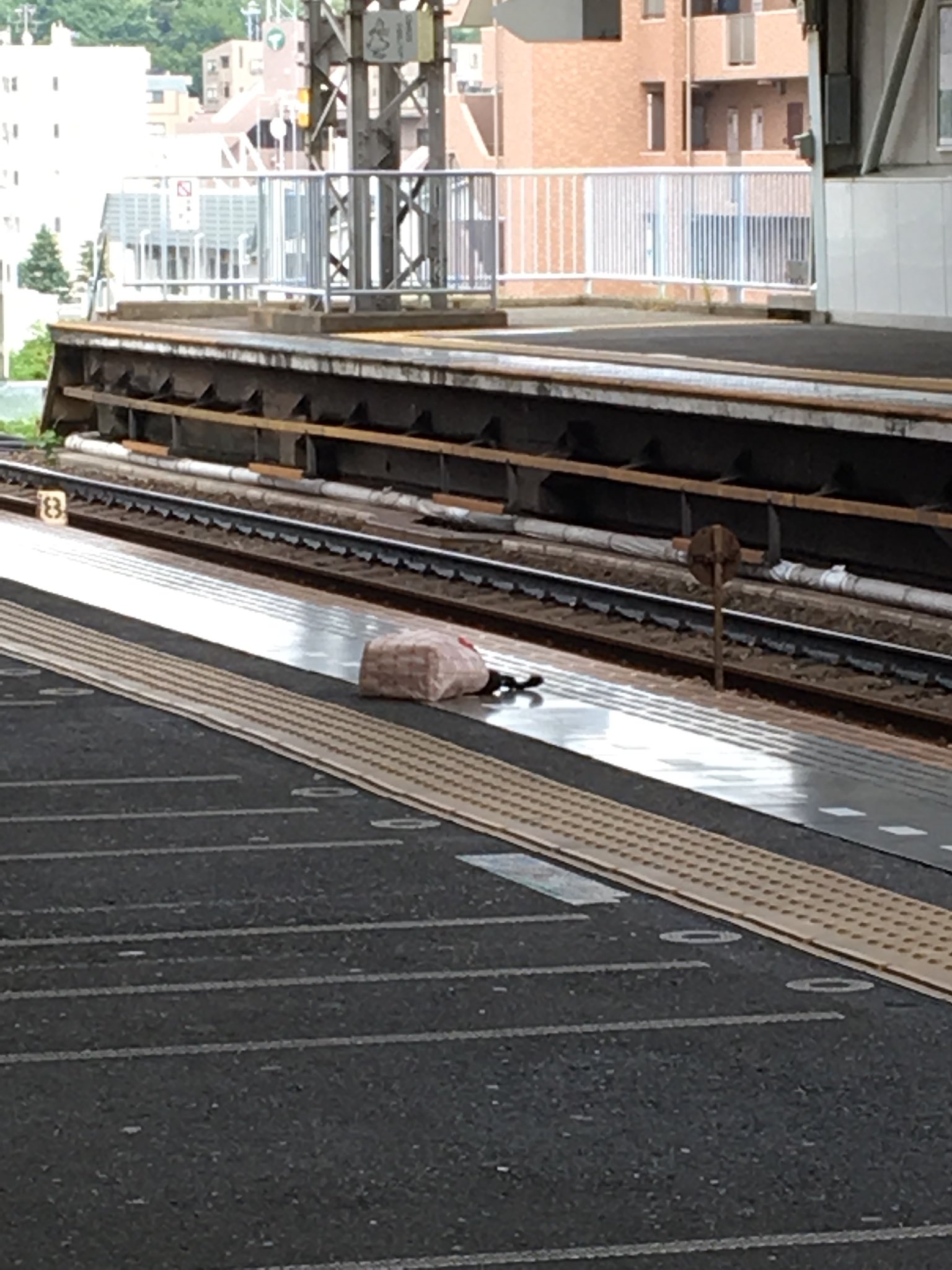 画像 さぁお出かけしよー と思って宮崎台駅着いたらこれよ 青ビニールシート持ってきてるから事故だろうねぇ T Co Cl91xxuu31 まとめダネ 画像 さぁお出かけしよー と思って宮崎台駅着いたらこれよ 青ビニールシート持ってきてるから事故だろうねぇ T Co Cl91xxuu31 まとめダネ