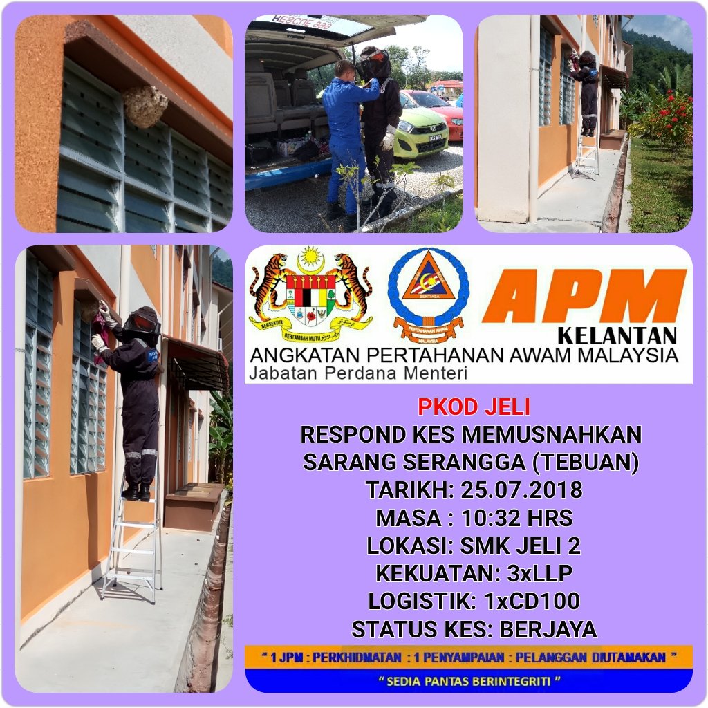 APM Jeli tweet media