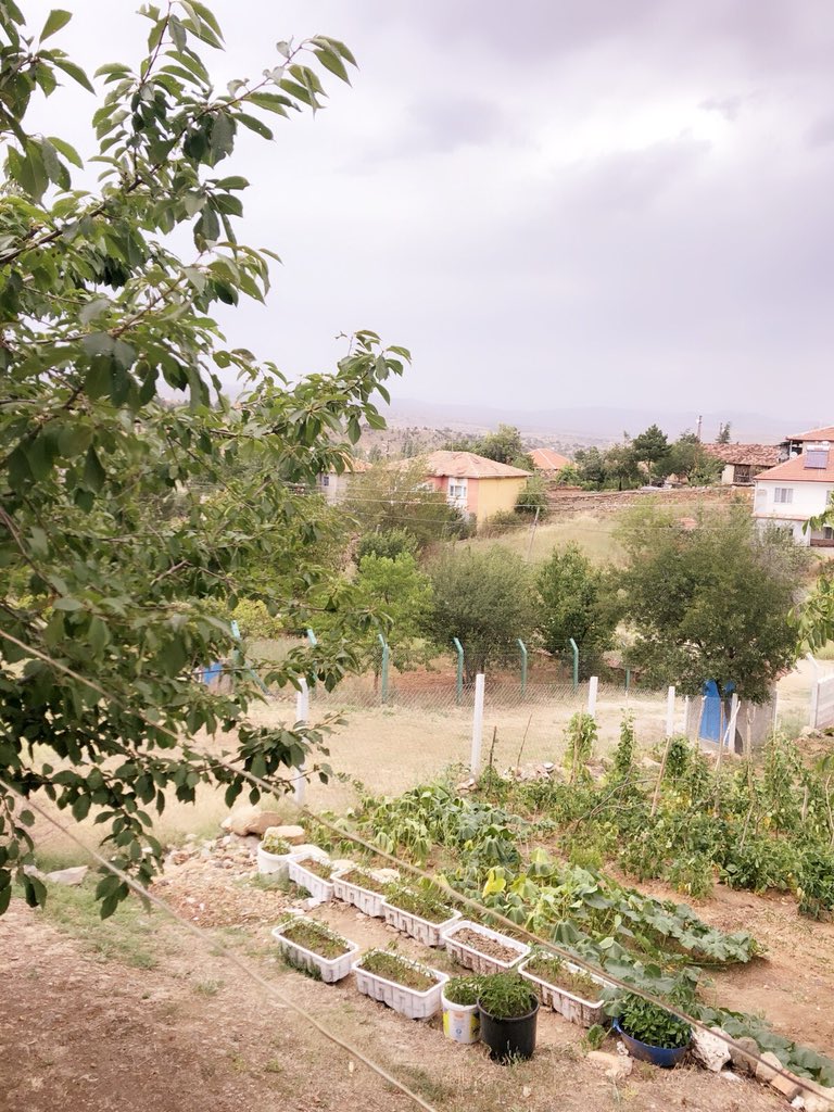 Lamekan_SA's tweet photo. Azıcık köy havası almaya geldik, ne internet var ne de şehrin pis havası 😌 Fotoğraftaki dombili taa Almanya’dan geldi, bahçeye daldı :)
Bize Gün aydı, size de Aydın olsun..Gönlünüzce bir Gün dileğim ile😊
#günaydın ✌🏼✊🏼 https://t.co/6dqkEds1WO