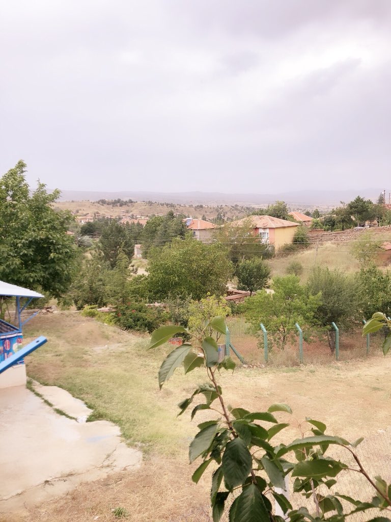 Lamekan_SA's tweet photo. Azıcık köy havası almaya geldik, ne internet var ne de şehrin pis havası 😌 Fotoğraftaki dombili taa Almanya’dan geldi, bahçeye daldı :)
Bize Gün aydı, size de Aydın olsun..Gönlünüzce bir Gün dileğim ile😊
#günaydın ✌🏼✊🏼 https://t.co/6dqkEds1WO