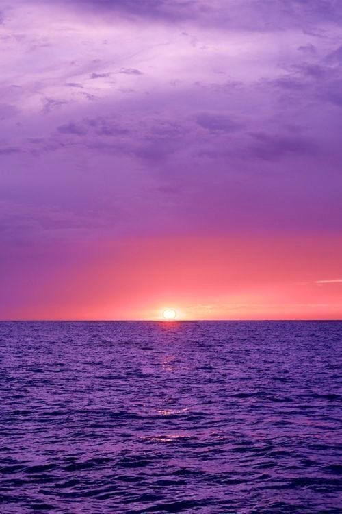 LadyBond8's tweet photo. Live in the sunshine. Swim in the sea. Drink the wild air. ~Emerson #quotes #WednesdayWisdom #love #500pxrtg #travel #photography #art https://t.co/JITnhq0KHU