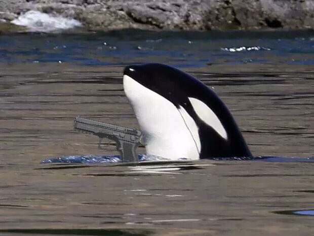 STOP POLLUTING THE ENVIRONMENT