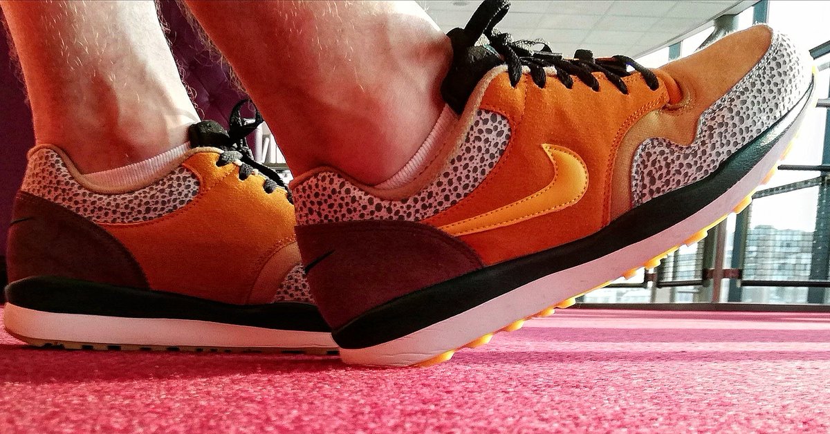 Daughterdontsin's tweet photo. New shoes Pog. #nike #nikeair #nikesafari #nikesafarise https://t.co/gH5wwVY9Rr