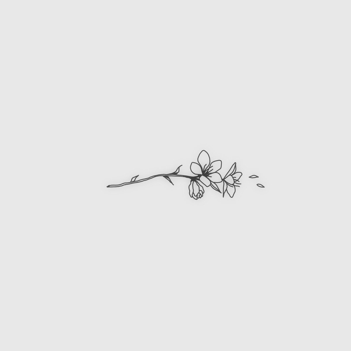 ᴘᴀsᴜᴋᴏᴏɴ_ᴛᴀᴛᴛᴏᴏ on Twitter: ᴘᴀsᴜᴋᴏᴏɴ_ᴛᴀᴛᴛᴏᴏ On Twitter: