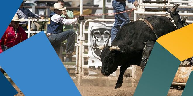 ArdorPlatform's tweet photo. Apparently similar, but not really. See how #Ardor compares to other #Blockchain projects with similar goals.

This week it's $ARDR VS. $KOMODO: 
https://t.co/sCjOD51qlL

Previous articles:
#Ardor VS $Waves 
#Ardor VS $nem 
#Ardor VS $iota https://t.co/nau2ZOHHUk