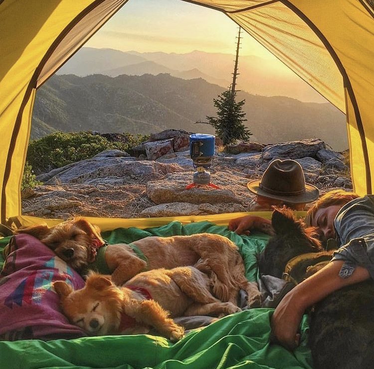 Sabahın ilk ışıklarıyla uyanmak istediğim yer ⛺️