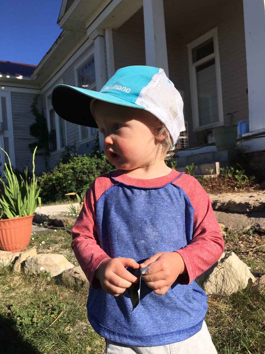 dustyhey's tweet photo. We might put him in a #Spanish speaking #daycare just to spite you, #mrpresident #WhereAreTheChildren 
#DonaldTrump https://t.co/LRixdhTCx5