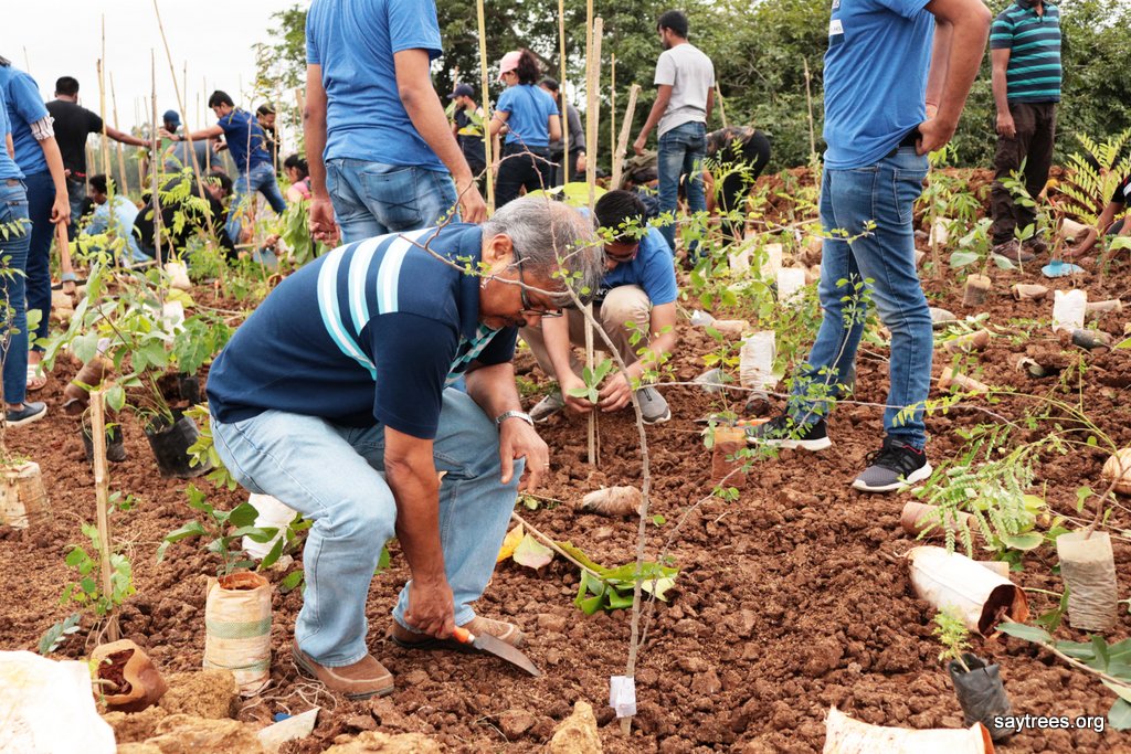 saytrees_ind's tweet image. Form young to experienced, all came together to plant 3500 saplings to create a dense forest in the city. Need of the hour for all cities facing the heat.  #denseForest #Miyawaki #Bengaluru #IndiaImpactAward2018
@deespeak @UNinIndia @GoldmanSachs