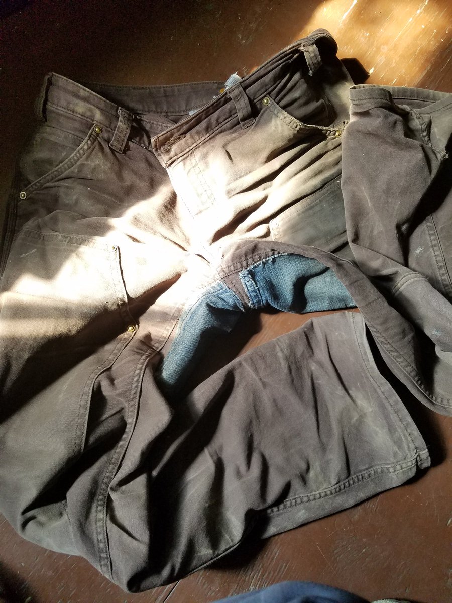 Well, it's the end of my field season and my women's Carhartt's have survived everything the borel forest could throw at them... but of course couldn't stand up to thighs... after two repair jobs I'm throwing them out. #womeninSTEM #fieldbiology