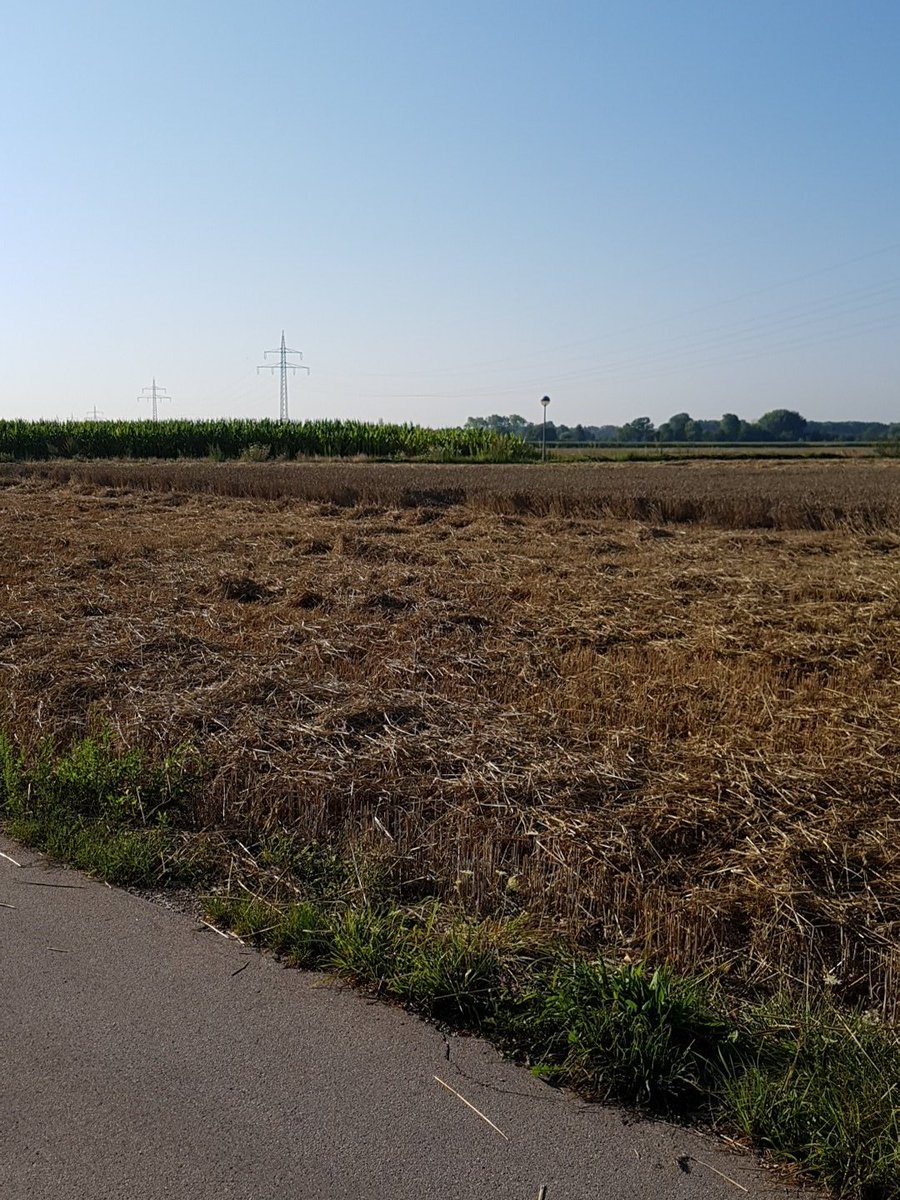 WJvanLoon's tweet photo. Going to a high tech meeting in farm land https://t.co/P7illADIft