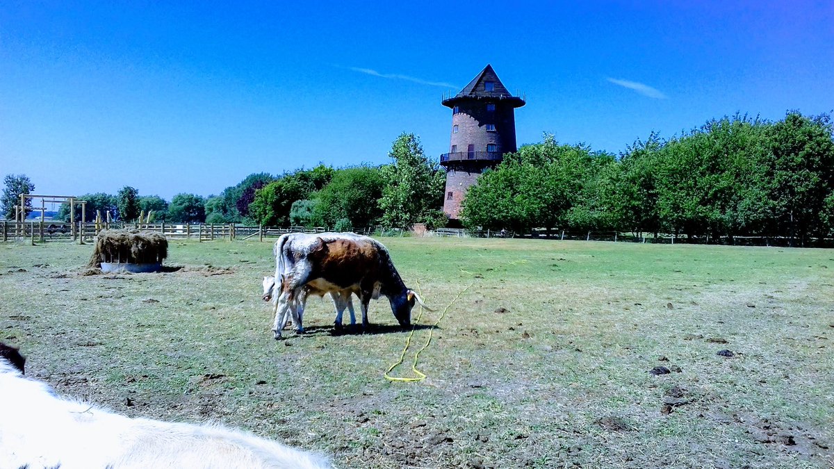 Open today from 10am windmillanimalfarm.co.uk #leyland #burscough #ormskirk #chorley #southport #maghull #aintree #Liverpool #preston #wigan #sthelens #wirral #warrington #blackburn #burnley #Manchester