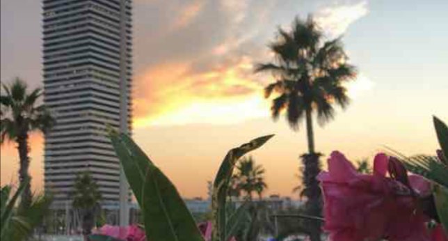 « اللهمّ أنت العظيم الذي عَزَّ شأنك ، وأنت الرحيم الذي فاض على الوجود إحسانك ، وأنت الغفور الذي شمل كل شيء غفرانك ، اللهم افتح لنا مغاليق الأبواب ، وهيّئ لنا خير الأسباب ، وارزقنا خيرة الأصحاب ،
 واجعلنا من أهل التقوى والإحسان ، برحمتك يا عزيز يا وهّاب » .
صباحكم عفو وعافية 💕