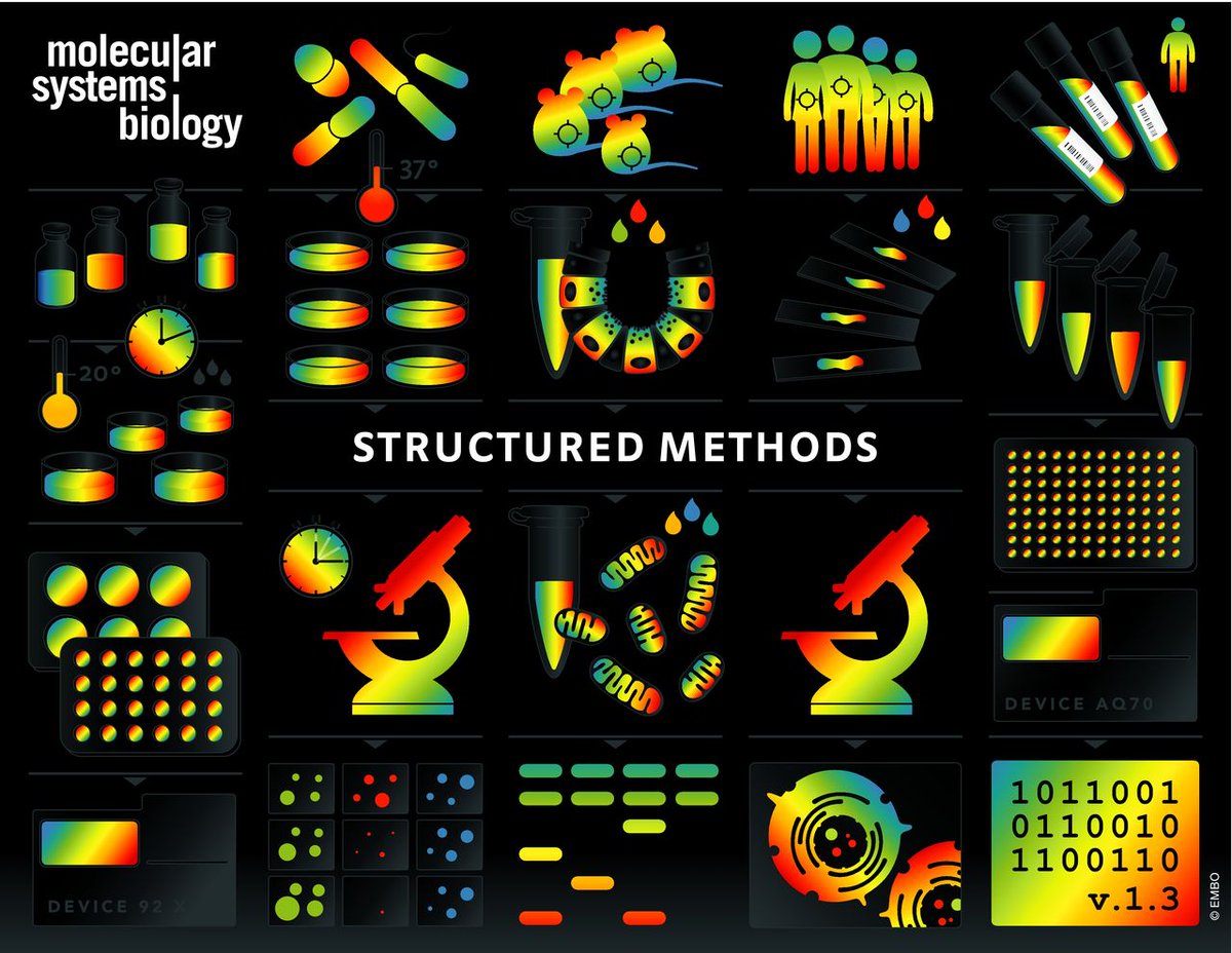 MolSystBiol's tweet photo. Introducing #StructuredMethods our new Materials &Methods format including a "Reagents and Tools Table" & a "Methods and Protocols" section where authors can describe their methods in a protocol format
Read more --> https://t.co/Hnjn3wo8Jh https://t.co/rmaJd10rDJ