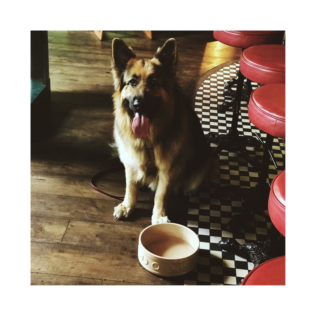 Old Ticket Office tweet media