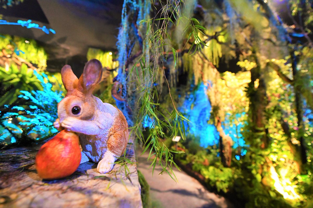 nparksbuzz's tweet photo. The Secret Garden of Edibles will evoke your senses with plants from temperate and tropical regions. See more than 50 species of edibles, citrus fruits, cherries, tomato cultivars, herbs and espaliers! #SGGardenFest is until 3 Aug at Gardens by the Bay. https://t.co/WSqDWOiyZA https://t.co/X8o65dTBkr