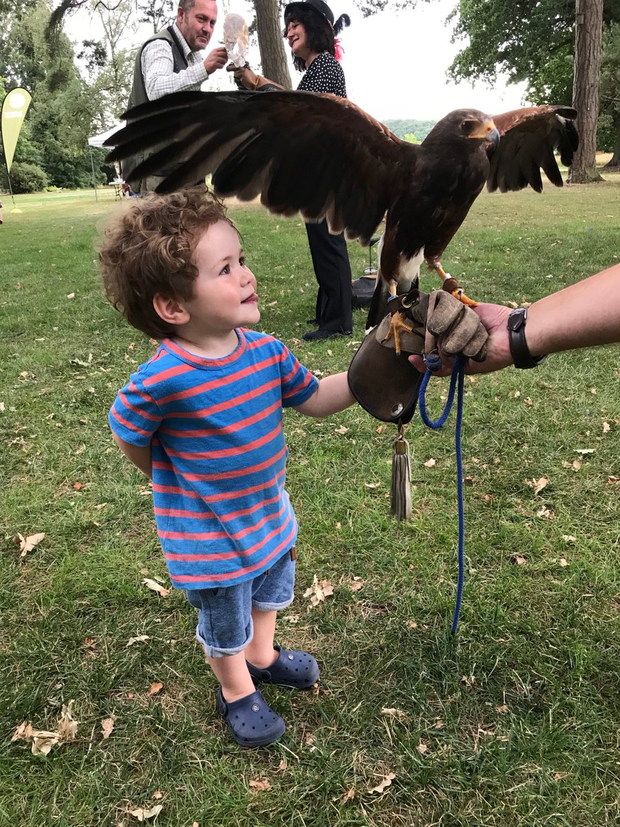 DaisyChainHolly's tweet photo. Big thank you to @RockliffeHall for inviting us along to the opening of their #Mischmasch land full of curiosities. Albie loved it! Well done it is amazing! https://t.co/usFi3Tb8Zy