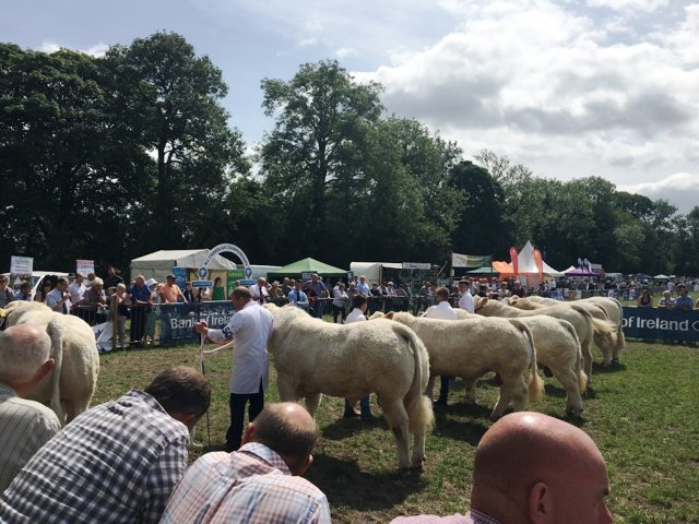 Bank of Ireland UK (@bankofirelanduk) on Twitter photo We're proud to support the NI Charolais Championship at the 100th <a href="/ClogherShow/">Clogher Valley Show</a>. If you're there today, why not swing by our stand for a cup of tea and a chat? ☕️ We're proud to support the NI Charolais Championship at the 100th <a href="/ClogherShow/">Clogher Valley Show</a>. If you're there today, why not swing by our stand for a cup of tea and a chat? ☕️