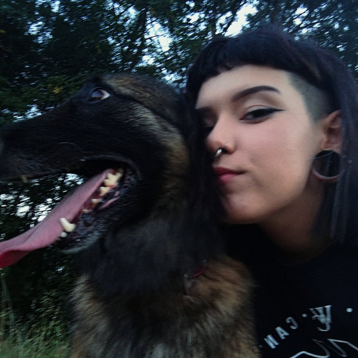 destrangell's tweet photo. el doggo ♡ https://t.co/A1w4QFDlDK