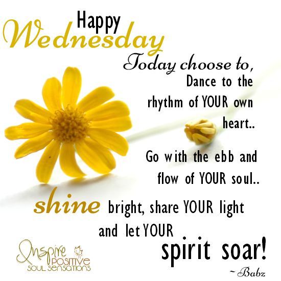 Happy Wednesday!!