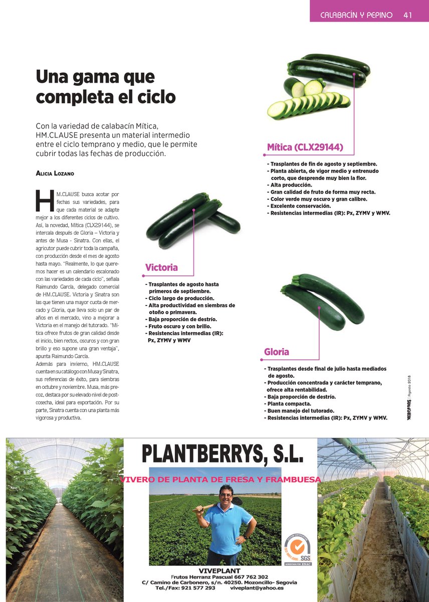 RevistaMercados's tweet photo. Buenos días y #FelizMartes. Casi en el ecuador del mes de #agosto, os invitamos a seguir conociendo más sobre las #hortícolas que se cultivan en nuestro país, en esta ocasión sobre #calabacín de la mano de .@HMCLAUSEIBERICA #Ed138 https://t.co/aPx7POdN5p https://t.co/2U9h7fQurs