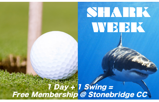 Stonebridge CC tweet media
