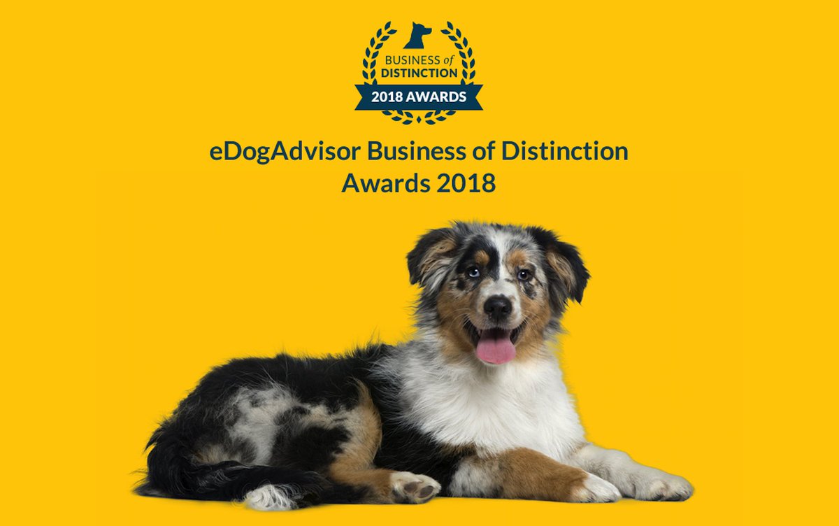 If you are a dog business then find out how you could win one of our Business of Distinction Awards - edogadvisor.co.uk/Business-of-Di… … #dog #dogs #awards