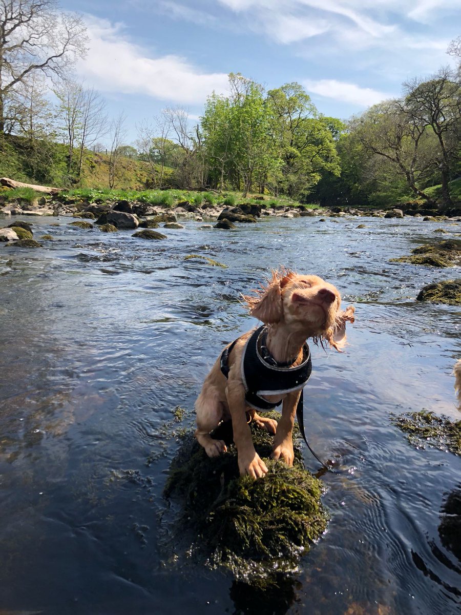 COMPETITION TIME! If you're a fan of dogs and booze then this is the giveaway for you...check out our Facebook page to be in with a chance to #WIN