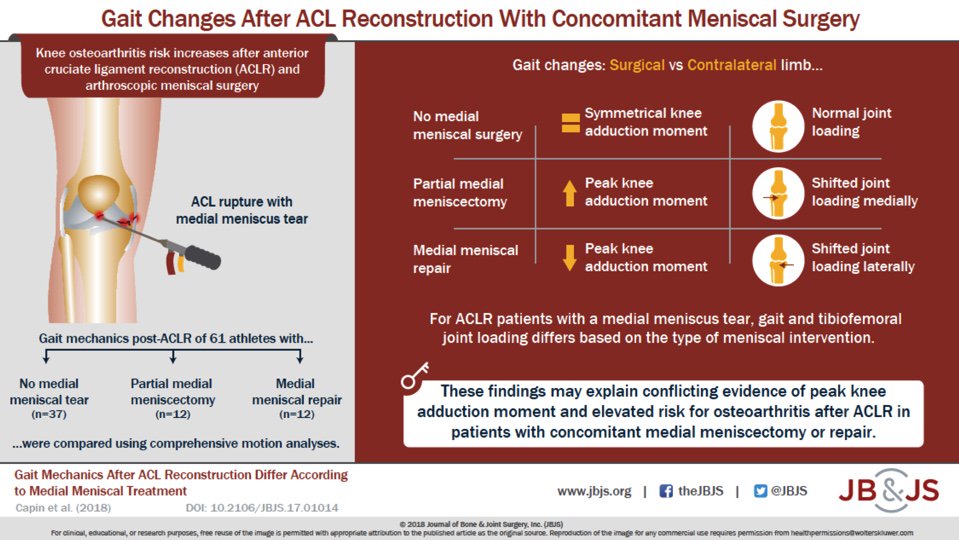 Dr. Lynn Snyder-Mackler tweet media