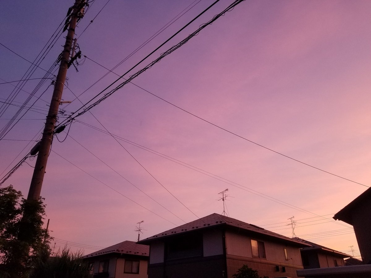 花海月 ∗*゚愛しい君を想う ∗*゚ tweet media
