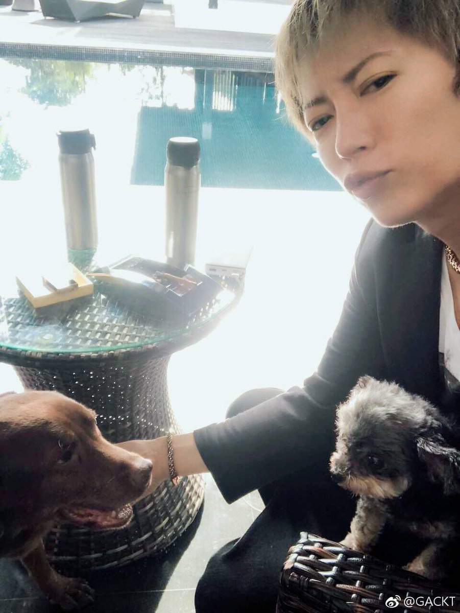 愛犬 gackt